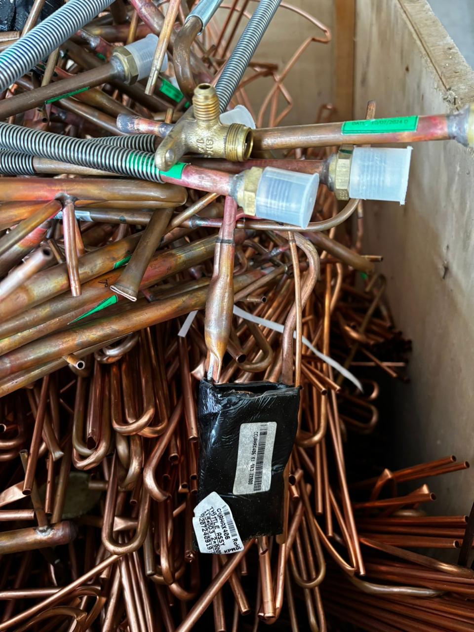 WhatsApp Image 2026-01-30 at 2.13.48 PM (1)