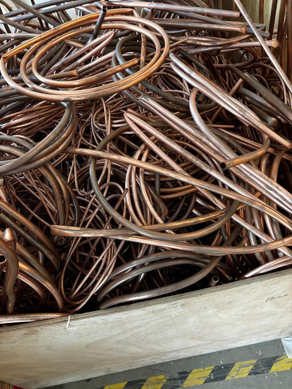 WhatsApp Image 2026-01-30 at 2.13.48 PM